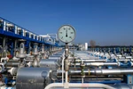 Ngừng bắn bắt đầu, Nga nối lại cung cấp khí cho Ukraine 