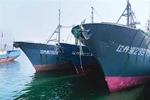 Hoàn Cầu: Nếu Triều Tiên còn bắt tàu cá, Trung Quốc sẽ cắt viện trợ