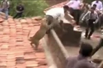 Video: Báo bị truy đuổi tấn công người ở Ấn Độ