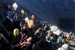 Ảnh: người Indonesia mạo hiểm cướp thức ăn của các vị thần
