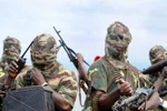 Quân đội Nigeria giao chiến với phiến quân Hồi giáo, 185 người chết 