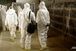 IAEA họp khẩn cấp về khả năng Triều Tiên tái sản xuất plutonium