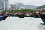 Cập nhật ảnh 9.000 tàu cá Trung Quốc đổ ra Biển Đông sau trưa 1/8