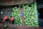 Những bức ảnh đẹp tháng 12 do National Geographic bình chọn