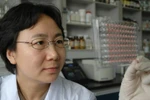 Trung Quốc cố tình tạo ra các chủng virus cúm nguy hiểm chết người?