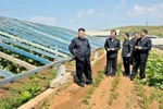 Kim Jong-un phê bình cơ quan khí tượng dự báo thiếu chính xác
