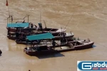 Sông Mã “quằn quại” vì nạn "cát tặc" hoành hành