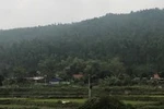 "Siêu nghĩa trang" trái quy hoạch, xâm phạm vùng đệm rừng quốc gia Tam Đảo?