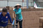 Vì sao hàng trăm doanh nghiệp đồng loạt kiện Chủ tịch tỉnh Bình Dương?