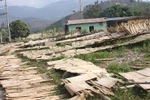 Vì sao Cty Hoàng Lâm dễ dàng “ẵm trọn” 26,5 tỷ đồng ngân sách?