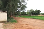 Chỉ định gói thầu 30 tỷ đồng, UBND TX. Sầm Sơn làm trái luật?