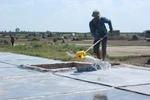 Câu chuyện mặn chát của những người "càng nắng to càng mừng"