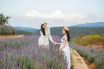 Khám phá "ngôi làng cổ châu Âu" tựa tiên cảnh tại Lavender Resort Đà Lạt