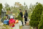 Tảo mộ Thanh minh: Con cháu "báo cáo", chia sẻ buồn vui với người thân quá cố