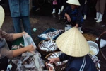 Nhịp sống ngư dân ở cảng cá Lạch Bạng (Thanh Hóa)