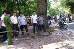 Bị cành cây rơi trúng đầu, một phụ nữ bị tử vong tại chỗ