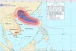Tin mới nhất về cơn bão số 7 (siêu bão Utor) trên Biển Đông