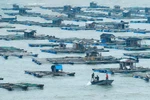 Toàn cảnh Hải Phòng, Quảng Ninh trước giờ bão về