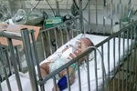 Bé gái 3 tháng tuổi bị đâm lòi ruột, ông bố bị nhiều vết cứa trên cổ