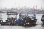 Bão đổi hướng, nhiều người chết và bị thương ở các tỉnh miền Trung