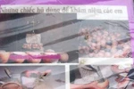 Ám ảnh cùng cực ở nghĩa trang hài nhi
