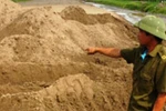 Đã tìm ra kẻ giết thiếu nữ vùi dưới cát