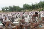 Không coi ngoại cảm là phương pháp xác định danh tính liệt sĩ