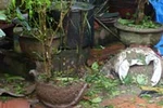 Nhà Chủ tịch xã bị ném mìn lúc nửa đêm