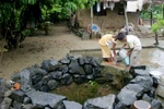 Đảo của đảo
