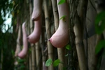 Hình ảnh sốc: La liệt "gò bồng đảo" tại quán cà phê Hà Nội