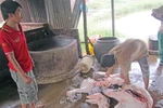 60% mẫu thịt không đảm bảo an toàn vệ sinh thực phẩm
