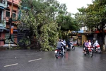 Bí thư Hải Phòng bị bến phà từ chối phục vụ