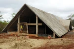 Xin giữ lại tên “sóc Bom Bo”