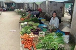 Đảo lộn vì tin đồn "ma thuốc độc" 