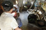 Cậu bé lớp 11 chật vật nuôi bốn người ốm bệnh
