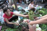 Lo độc hại, bà nội trợ "săn" thực phẩm quê