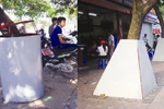 Vờ ôm nhau dưới gốc cây để cưa trộm sưa