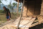 Cả thôn khổ vì… bò tót