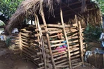 Một cô gái bị nhốt trong cũi suốt 3 năm
