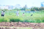 Vụ khỏa thân cản trở thi công: Làm rõ vi phạm những người liên quan