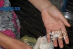 Phát hiện nhiều áo ngực có "thuốc lạ" 