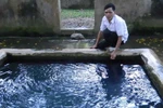 Truyền kỳ về đôi giếng thiêng và chuyện rắn trả ơn người