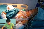 “Tôi mong bố mẹ Lê Văn Luyện thoát vòng lao lí” 
