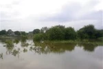 Chạy trốn cảnh sát giao thông, hai học sinh lớp 9 chết đuối