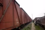 Hà Nội: Không tin nổi 15 toa tàu chở toàn gỗ quý