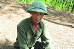 Nghệ An: Hàng chục người nhiễm bệnh lạ 