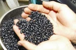 Nhiều người nhập viện sau khi nuốt đậu đen "trường sinh bất lão"