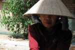 Người cào tép kiếm tiền triệu mỗi đêm