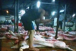 Kinh hoàng thợ mổ đóng dấu thú y