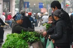 Dự thảo luật thủ đô: Tạm trú một chỗ ba năm mới được nhập hộ khẩu
